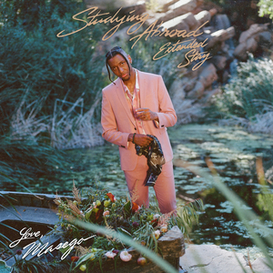 男生女生不用下载视频
